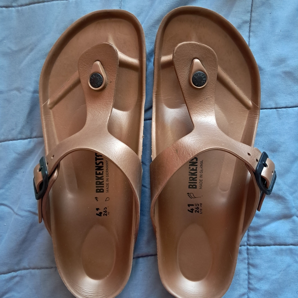 Birkenstock Brown Sandals